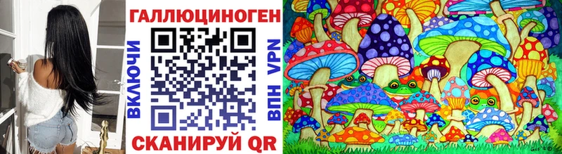 купить наркотик  Нижнекамск  Псилоцибиновые грибы Psilocybe 